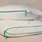 Two Standard Sized Marlow pillows